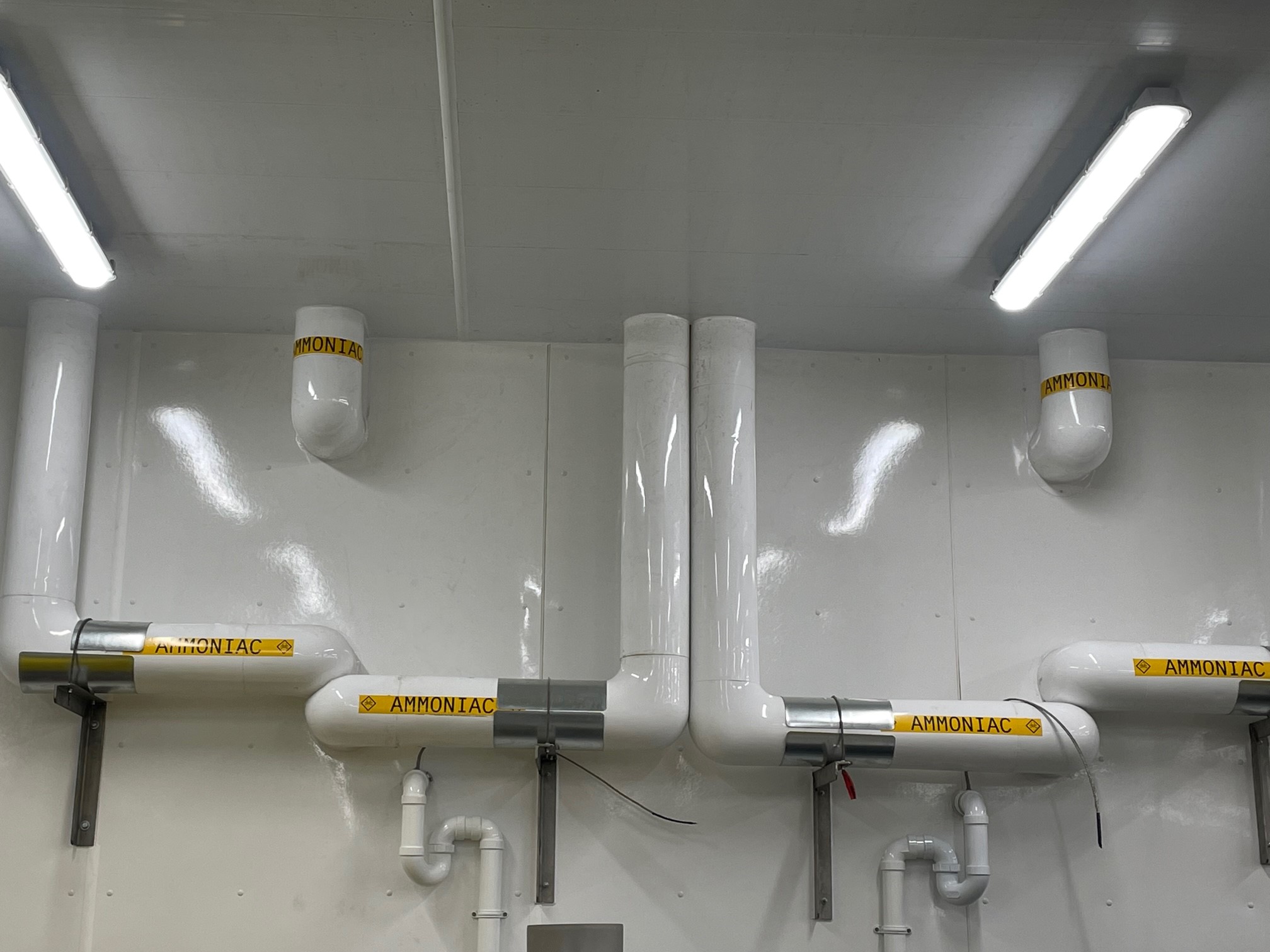 62cc4f7dae4c4155c1b37784_Pumping 5